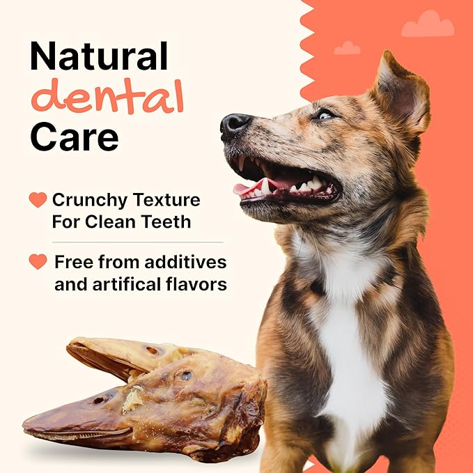 Gaines Family Farmstead Duck Heads for Dogs – 3 Count, Single Ingredient, Dehydrated Dog Chews – High in Protein, Supports Dental Health & Joint Care – Rawhide-Free Treats, Made in USA