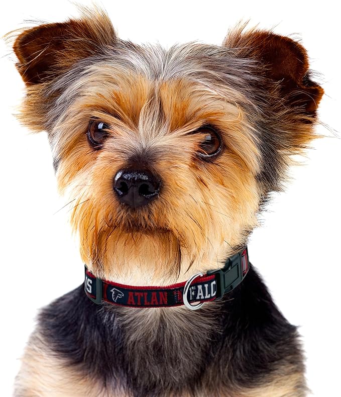 Pets First NFL Atlanta Falcons Licensed PET COLLAR, Large - Heavy-Duty, Strong, and Durable Dog Collar. Available in 31 Football Teams and 4 Sizes