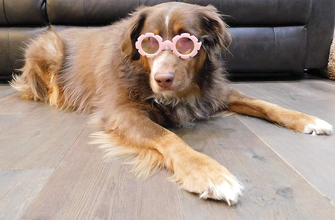G001 Dog Sunglasses for Costume Medium Breeds (20-40lbs) (Flower Pink-Pink Mirror)