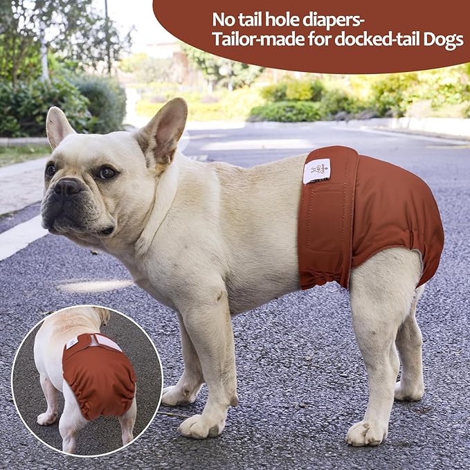 CuteBone Washable Dog Diapers Female No Tail Hole 3 Pack Reusable Doggie Period Training Pants for Docked-Tail Frenchie French Bulldog Boston Terrier Without Tail WWD22L