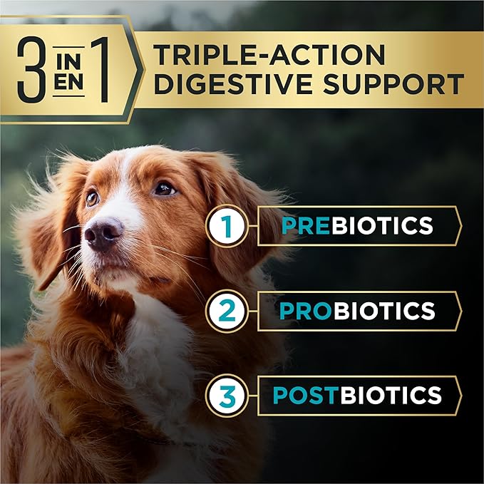 Purina Pro Plan AdvantEDGE Digestive Support Plus Salmon and Oat Meal Formula Adult Dry Dog Food - 12 lb Bag