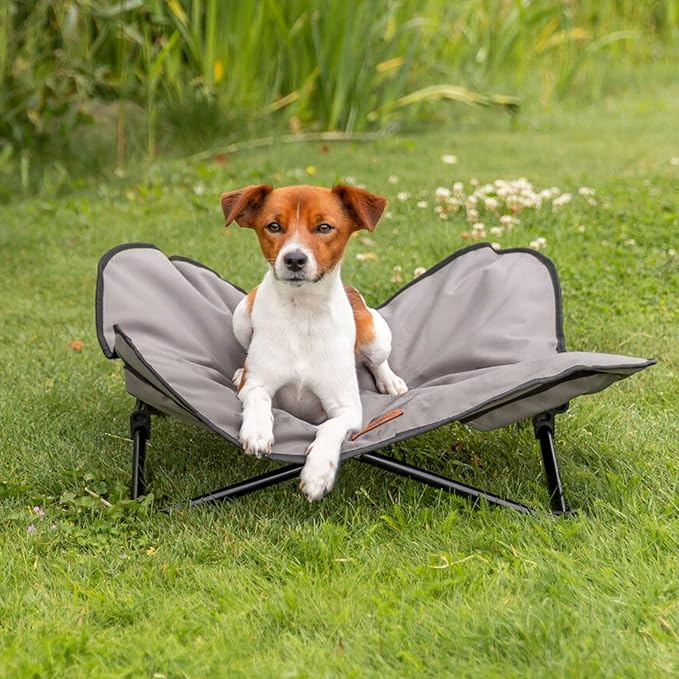 Trixie Camping Cot for Small Dogs up to 35 lb, Elevated Pet Travel Bed 27.2" x 27.2", Portable Steel Frame Lounger with Removable Topper, Foldable Design, Storage Bag Included