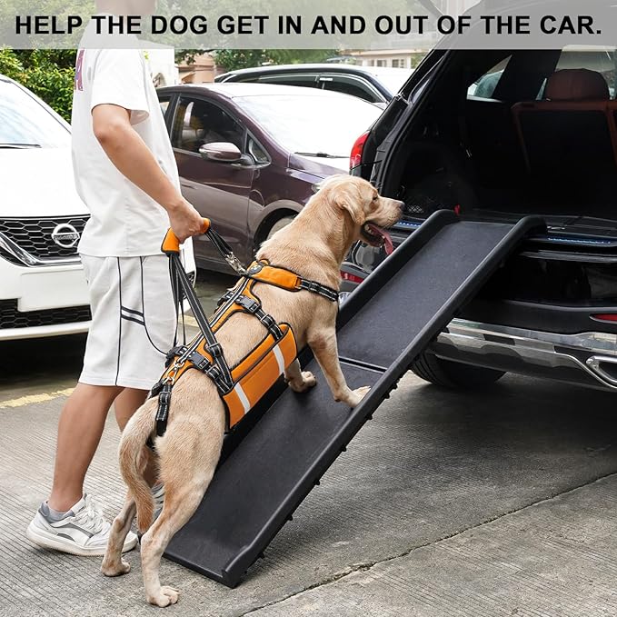 COODEO Mobility Dog Lift Harness, Emergency Carry Sling, Pet Rear Leg Support Rehabilitation Lifts Vest, Dog Carrier for Senior Dogs Joint Injuries, Arthritis (Orange, M)