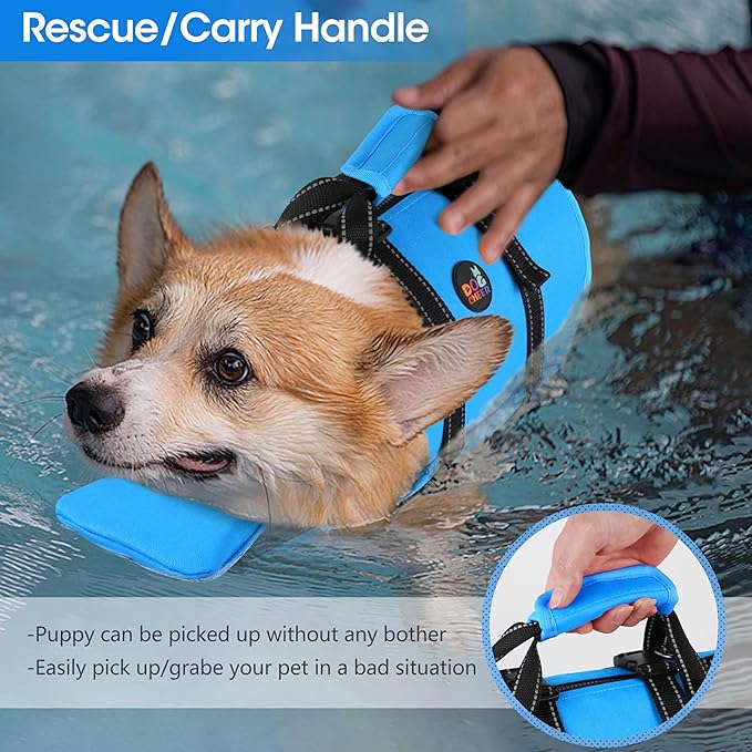 Dogcheer Dog Life Jacket with Zipper and 4ft Leash, Adjustable Pet Life Vest for Swimming Boating, High Buoyancy Flotation Swim Vest PFD for Small Medium and Large Dogs-Blue,M