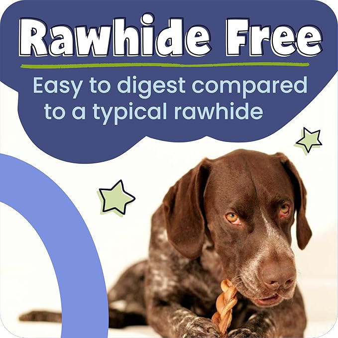 Pawstruck Natural 8–12" Bully Sticks for Dogs – Long-Lasting, Rawhide-Free, Low-Odor, Grain-Free Dental Chew Treat – Single Ingredient, 100% Real Beef – 1 lb Bag – Packaging May Vary