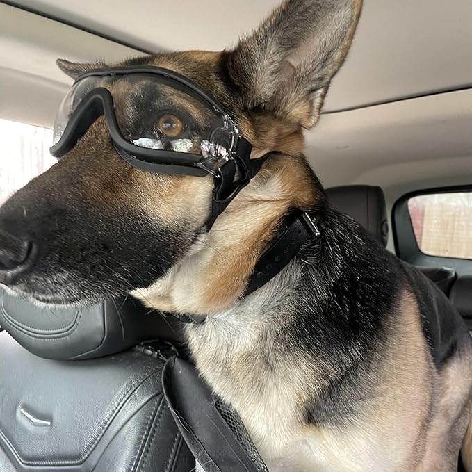 NAMSAN Dog Sunglasses Medium to Large Dog UV Transparent Goggles Windproof Anti-Dust Snowproof Pet Glasses with Elastic Straps, Clear