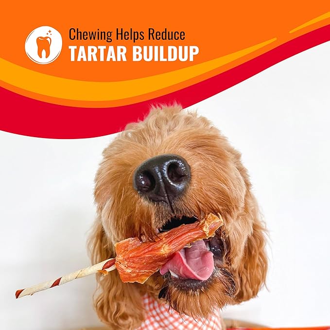 Good ‘n’ Fun Triple Flavor Kabobs Chews for All Dogs, 48 Ounces, Treat Your Dog to Chews Made from Beef Hide, Real Chicken, Pork Hide, Duck and Chicken Liver