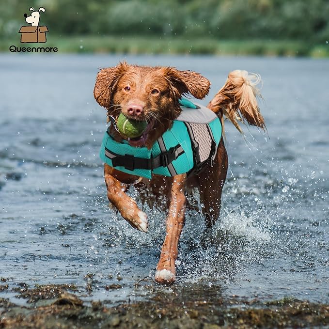 Queenmore Dog Life Jacket Swimming Vest Small Medium Dogs Neoprene Boating Life Preserver Lightweight Reflective Cat Puppy Kayaking Lifesaver for Bulldog,Dachshund,Boston Terrier (Peacock Green,L)