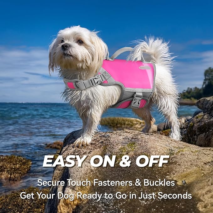 VIVAGLORY Neoprene Dog Life Vest, Dog Life Jacket for Swimming & Boating, Lightweight & Buoyancy for Puppy Doggy, Swimming Vest with Handle, XS, Raspberry Pink