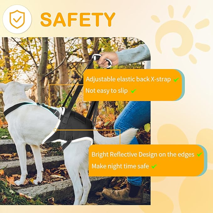 Dog Lift Harness for Large Dogs, Hind Leg Support to Help Rehabilitate, Hip & Back Leg Joint Injury Dog Lift, Reflective Rear Limbs of Elderly Dogs with Weak Hind Legs ACL Brace
