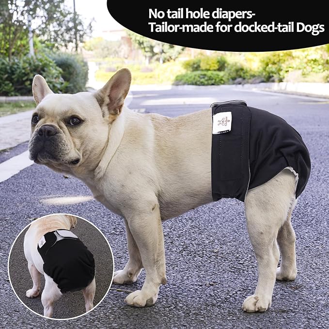 CuteBone Washable Dog Diapers Female No Tail Hole 3 Pack Reusable Doggie Period Training Pants for Docked-Tail Frenchie French Bulldog Boston Terrier Without Tail WWD21S