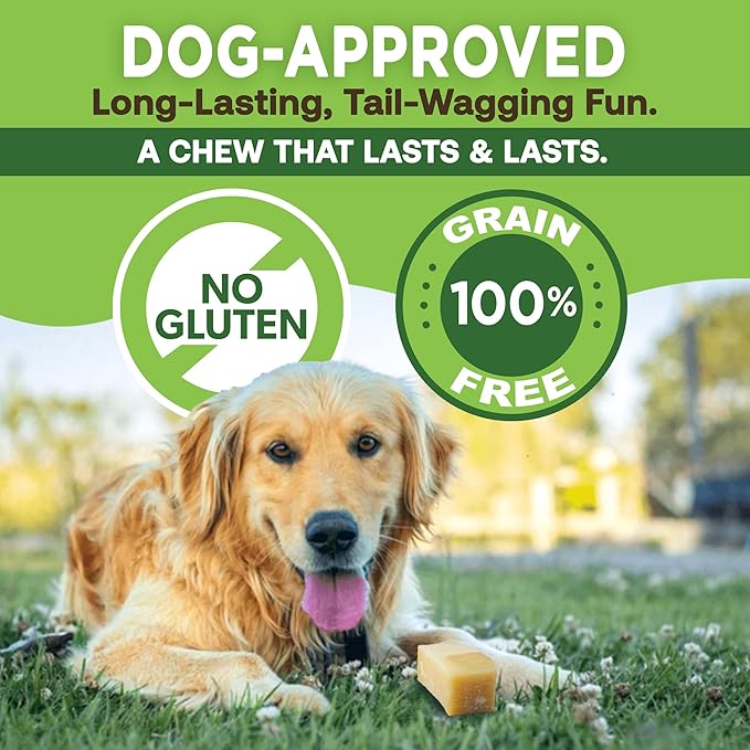EcoKind Premium Gold Yak Cheese Himalayan Dog Chews, Healthy Dog Treats, Yak Chews for Small Dogs, All Natural, Long Lasting Dog Chew for Aggressive Chewers, High Protein Puppy Treat, Small - 16 Chews