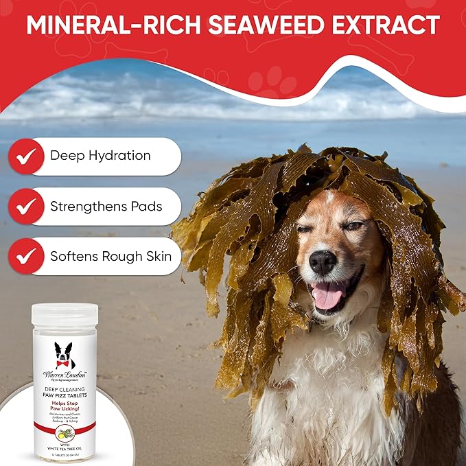 Warren London Deep Cleaning Paw Soak for Dogs – 30 Count Fizz Balls | Soothes Itchy, Irritated Paws with Seaweed, Tea Tree Oil & Aloe | Anti-Lick Paw Relief & Easy 5-Minute Spa