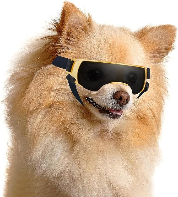 ENJOYING Dog Sunglasses Small Breed, Anti-UV Puppy Goggles for Small Dogs, Windproof Outdoor Dog Eye Protection for Driving Biking, Adjustable Head Straps, Cute Gold