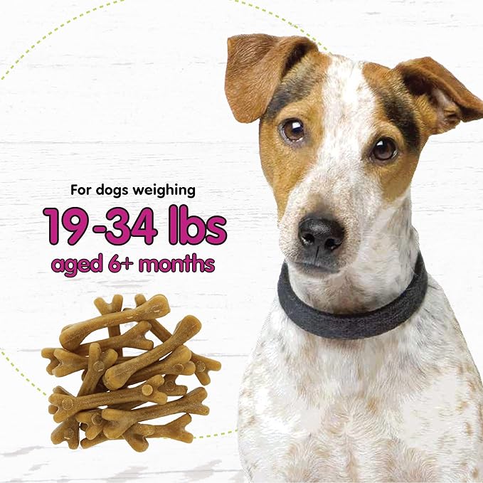 Fido - Belly Bones for Dogs, Yogurt Flavored Small Dog Dental Treats - 13 Treats Per Pack (3 Pack) - Made in USA, Plaque & Tartar Control, for Fresh Breath and Digestive Health Support