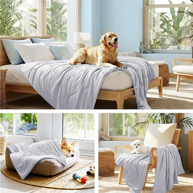 Luciphia Premium Cooling Dog Blanket Washable Q-MAX>0.5 Small Medium Large Pet Mat Puppy Cat Self-Cooling Soft Breathable Calming Throw for Sofa Crate Bed (Light Grey,29x40 inches)