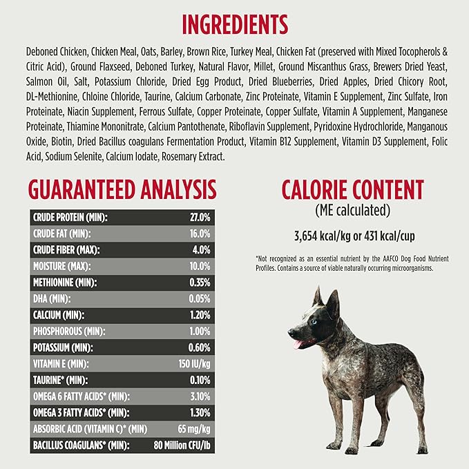 Nulo Frontrunner Puppy Food - High-Protein Chicken, Oats & Turkey Recipe Kibble, Natural Dry Dog Food with DHA, Ancient Grains, Probiotics, Taurine, Omega 3 for Small, Medium & Large Breeds, 25lb Bag