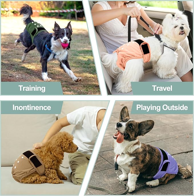 Female Dog Diapers 5Pcs - Premium Reusable Diapers for Doggie in Heat - Highly Absorbent Dog Diapers Female for Pet Incontinence with Adjustable Snaps, XXL