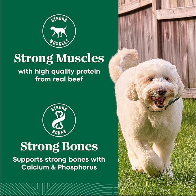 Nutro Natural Choice Dry Dog Food, Adult Dog Food Dry Beef and Brown Rice Recipe, 4.5 lbs.