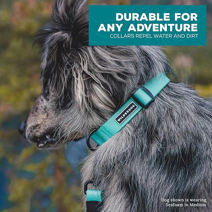 Wilderdog Waterproof Dog Collar - Repels Water & Dirt - Small 11"-15" - Guava