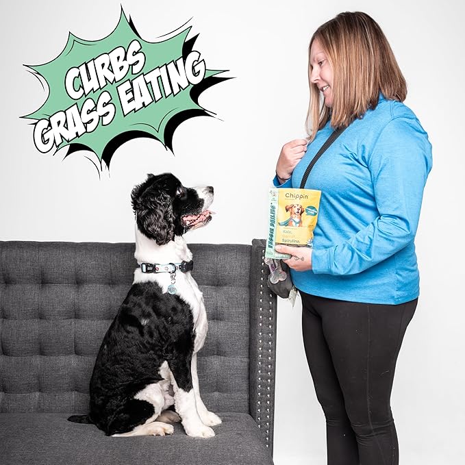 Chippin Healthy Dog Treats, All Natural Crunchy Biscuits with Spirulina, Kale, Oats, Low Calorie, No Meat, Hypoallergenic, Vegan Treats for Puppy, Small, Large Dogs, 2 Pack