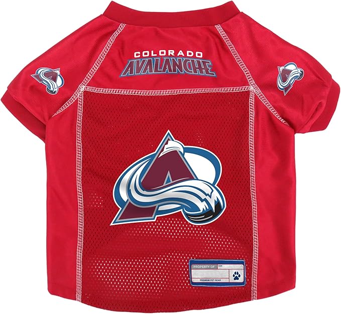Littlearth NHL Detroit Red Wings Basic Pet Jersey, Team Color