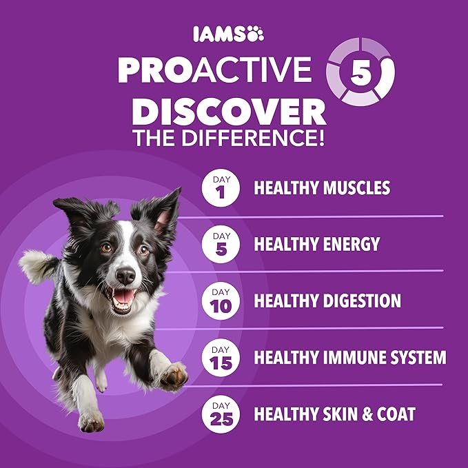 IAMS Advanced Health Dry Dog Food Healthy Digestion, Adult Dog Food with Real Chicken Recipe, 6 lb. Bag