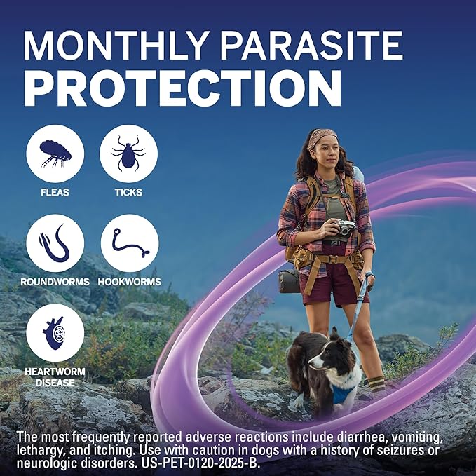 NexGard Plus (afoxolaner, moxidectin, and pyrantel) Flea and Tick Protection & Heartworm Preventive for Dogs Soft Beef Flavored Chewables, 17.1-33 lbs. (Gold) 1 Chew (1 Month Supply)