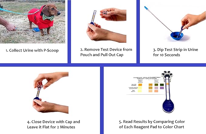 UTI Test Kit for Dogs with Reusable P-Scoop Telescopic Urine Collector