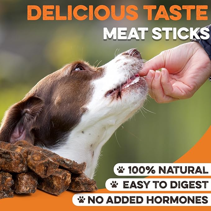 BRUTUS & BARNABY Dehydrated Lung Dog & Cat Treats, 10oz – USA Organ Meat Stick (Beef & Turkey Lung, Liver), High Protein Pet Snack
