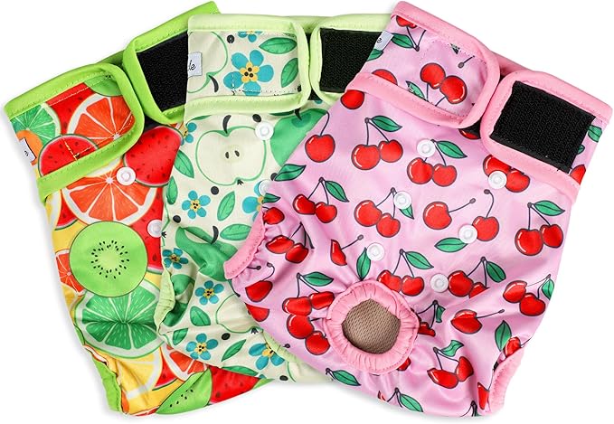 Female Dog Diapers - Premium Reusable Diapers for Dogs in Heat - Highly Absorbent, Leak-free, Adjustable Snaps, Fruits, XL