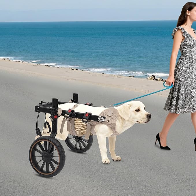 Pet Rehabilitation Walking Aid for Large Dogs, Adjustable 2-Wheel Dog Wheelchair for Back Legs with Breathable Mesh Harness for Senior Disabled Dogs Recovery Support