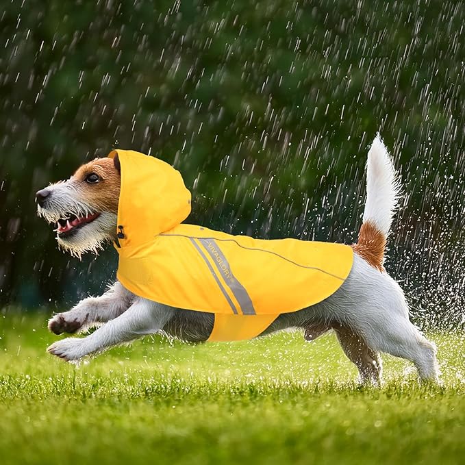 VIVAGLORY Wetoff Dog Raincoat, Rain Coat for Dog All Seasons Adventure, Rain Jacket with Harness Hole & Hood, Reflective Lightweight Waterproof for Doggy & Puppy, XXS, Yellow