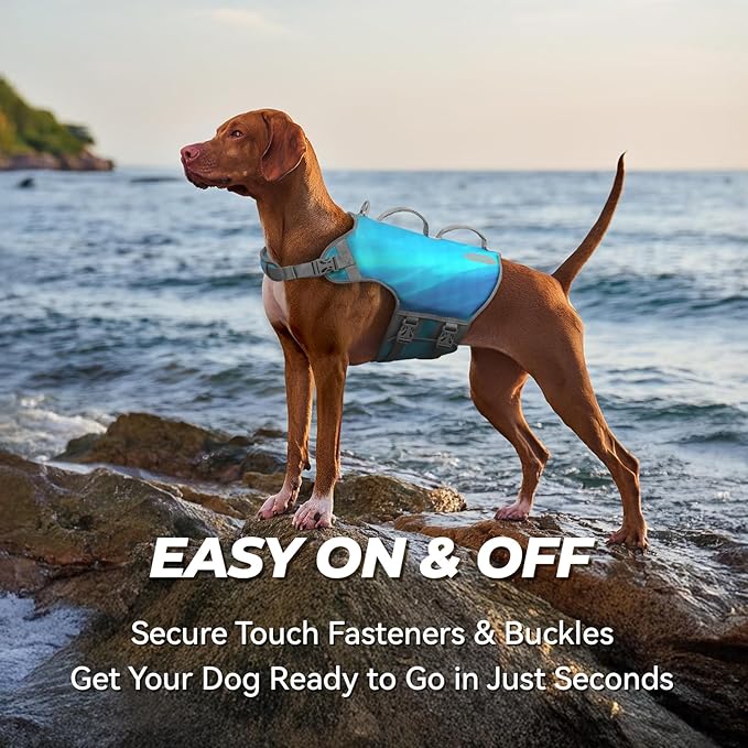 VIVAGLORY Neoprene Dog Life Vest, Dog Life Jacket for Swimming & Boating, Lightweight & Buoyancy for Puppy Doggy, Swimming Vest with Handle, XL, Teal