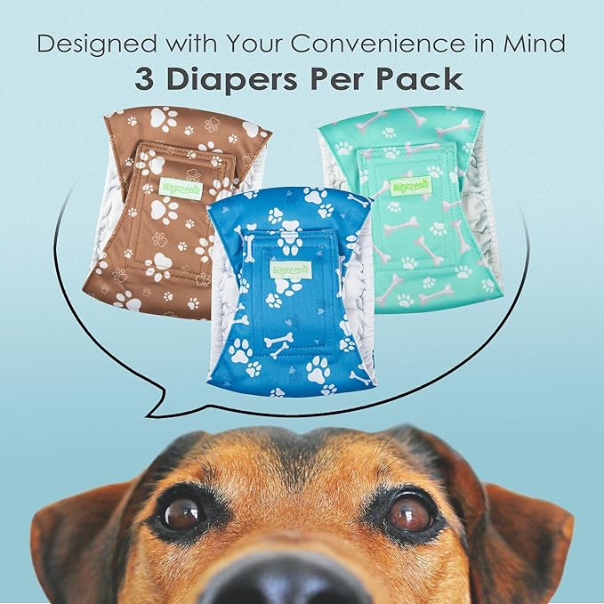 Wegreeco Washable Male Dog Belly Band - Pack of 3 - Washable Male Dog Belly Wrap, Medium Doggie Diapers for Doggy Puppy (Bone, Medium)