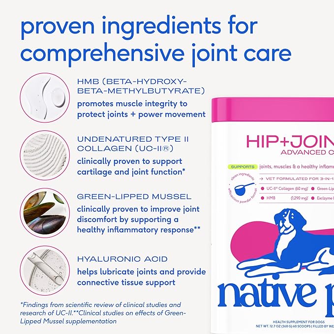 Native Pet Hip & Joint Advanced Care Dog Joint Supplement Powder for Mobility & Movement Support, Joint Supplement for Dogs with HMB, UC-II Collagen, Green Lipped Mussel & Hyaluronic Acid-120 Scoops