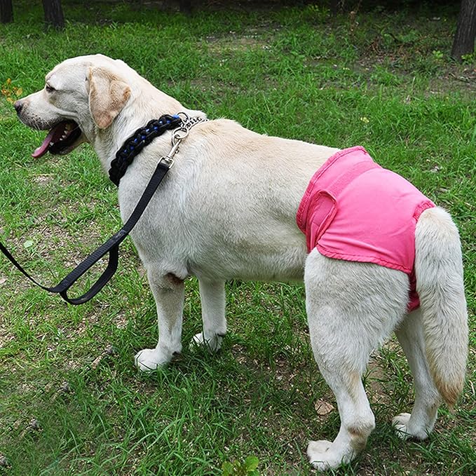 Dog Sanitary Pant,Breathable Cotton Washable Female Dog Diaper Dog Suspender Nappy Menstrual Underwear Pants for Girl Female Dog Menstruation and Avoid Harassment (M)