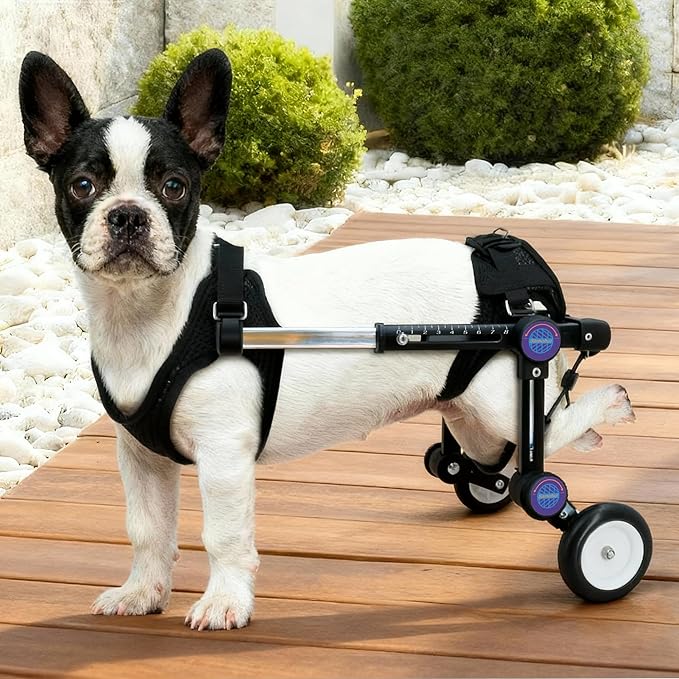 Adjustable Dog Wheelchair for Back Legs Mobility Support Lightweight Pet Wheelchair for Disabled Hind Legs Walking Stable Dog Cart for Pets, Pink (Small)