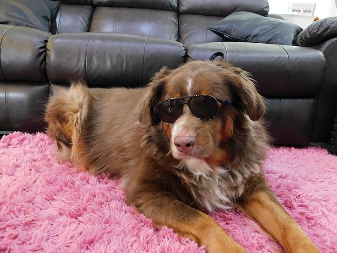G010 Dog Pet Costume Prop Aviator Sunglasses Medium Breeds 20-40 lbs (2-Pack Black+ Tortoise Brown)