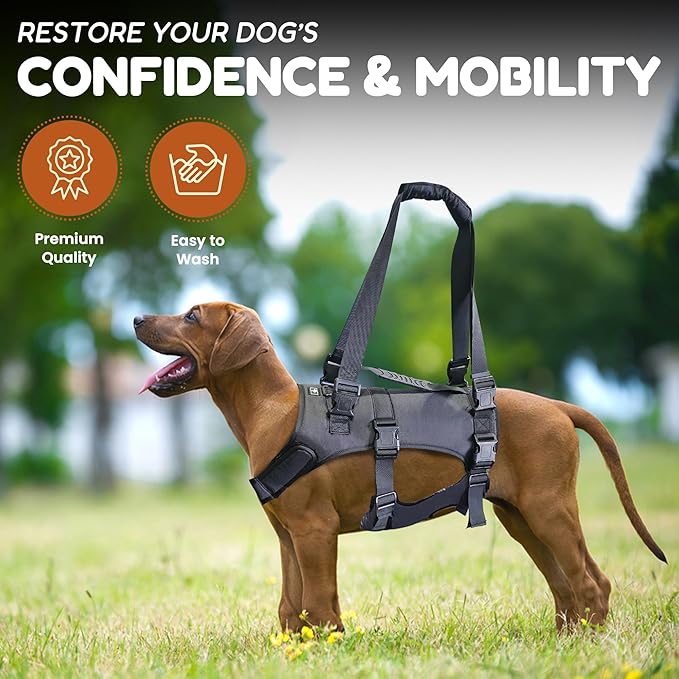 Doggie Stylz Dog Lift Harness for Large Dogs Full Body Support Sling Dog Carrier has Adjustable Handles Recovery Vest for Senior Dogs, Arthritis Joint Injuries, Mobility Aid Back Leg Support (XL)