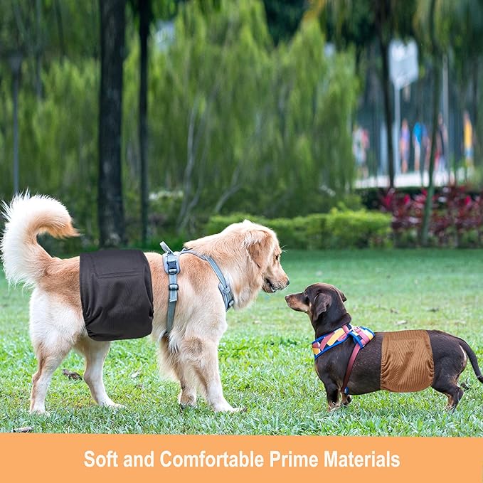 Langsprit Male Belly Bands for Dogs (Pack of 3) - High Absorbing Dog Wraps Male Washable - Reusable Small Doggy Doggie Puppy Male Dog Diapers XXL Size ColorZLH