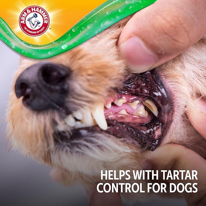 Arm & Hammer Complete Care Dental Gel, Gel-Style Dog Toothpaste - Fresh Breath, Tartar Control, Gentle on Enamel, Fluoride Free - Baking Soda Enhanced Dental Dog Supplies, Chicken Flavor, 2.5oz