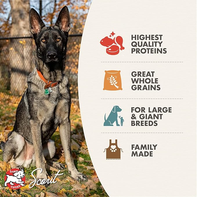 Fromm Large Breed Adult Gold Premium Dry Dog Food - Dry Adult Dog Food for Large Breeds - Chicken Recipe - 30 lb
