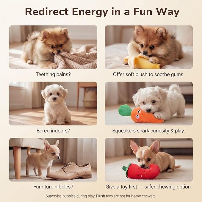Pets&Goods Plush Squeaky Dog Toys – 5-Pack Fruit & Veggie Set for Puppies & Small Dogs – Soft, Crinkle, Durable Toys for Indoor Play, Teething Puppies & Dog Gifts