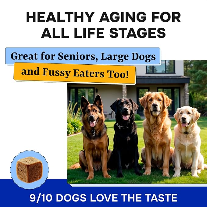 Dog Vitamins & Supplements Chewable - Glucosamine Omega Probiotics - Dog Vitamins for Skin & Coat, Hip & Joint & Gut Health - Adult & Senior, Small & Large Breed - 120 Ct Beef