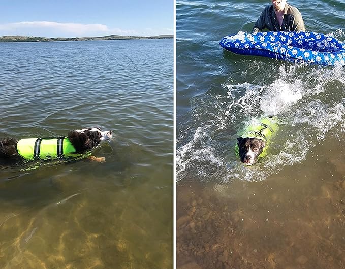 Dog Life Jacket Easy-Fit Adjustable Belt Pet Saver Swimming Safety Swimsuit Preserver with Reflective Stripes for Doggie (XS, Green)