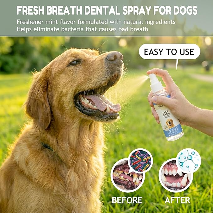 Pet Dental Finger Wipes for Dogs & Cats – 50 Mint Flavor Dog Dental Wipes + Mint Fresh Breath Spray, Dog Tooth Brushing Kit, Helps Remove Bad Breath & Plaque & Tartar Buildup
