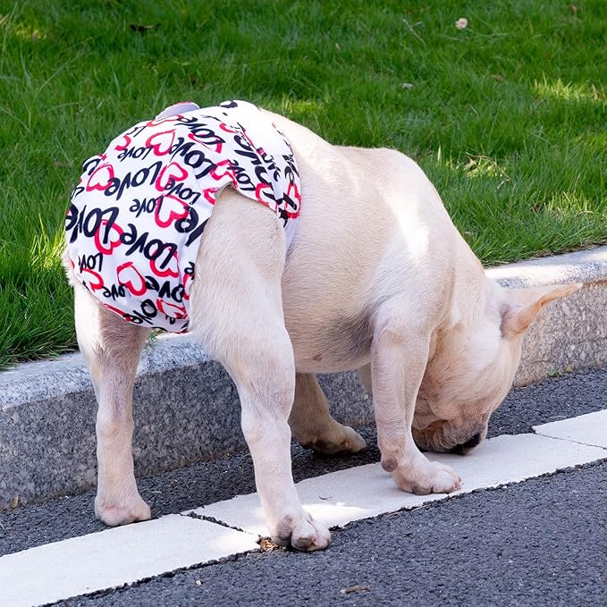 CuteBone Washable Dog Diapers Female No Tail Hole 3 Pack Reusable Doggie Period Training Pants for Docked-Tail Frenchie French Bulldog Boston Terrier Without Tail WWD03L