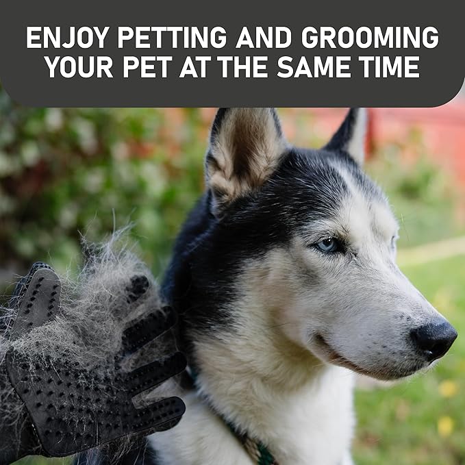 Maxpower Planet Hair Brush & Grooming Gloves for Dogs and Cats - Black