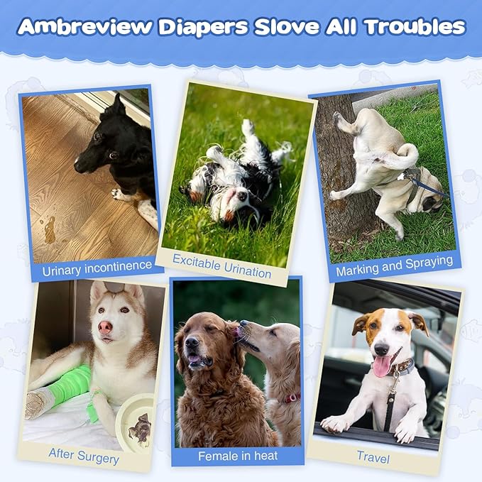 Ambreview Dog Diapers Female, Disposable Pulled Up Dog Diaper with Stretchy Waist, Super Absorbent 360° Leak-Proof Doggie Diapers for Female Puppy Dogs in Heat/Urinary Incontinence (30M)